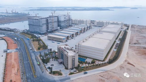 福清再提速 1793噸遠(yuǎn)洋漁獲3天卸貨