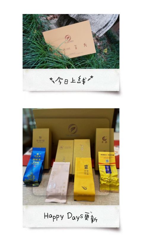 福茶產業融合發展論壇在福州舉行 曹德旺期望有更多老百姓也能喝得起好茶